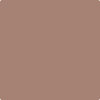 Benjamin Moore's paint color 2095-40 Mudslide available at Standard Paint & Flooring.