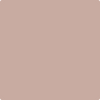 Benjamin Moore's paint color 2100-50 Pebble Stone available at Standard Paint & Flooring.