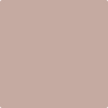 Benjamin Moore's paint color 2105-50 Sand Pebble available at Standard Paint & Flooring.