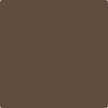 Benjamin Moore's paint color 2111-20 Grizzly Bear Brown available at Standard Paint & Flooring.