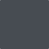 Benjamin Moore's paint color 2119-30 Baby Seal Black available at Standard Paint & Flooring.