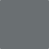 Benjamin Moore's paint color 2124-20 Trout Gray available at Standard Paint & Flooring.