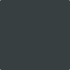 Benjamin Moore's paint color 2131-20 Midnight Gray available at Standard Paint & Flooring.