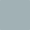 Benjamin Moore's paint color 2131-50 Nimbus Gray available at Standard Paint & Flooring.