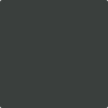 Benjamin Moore's paint color 2135-10 Blacktop available at Standard Paint & Flooring.