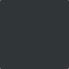 Benjamin Moore's paint color 2136-10 Black Night available at Standard Paint & Flooring.