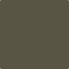 Benjamin Moore's paint color 2139-20 Dakota Woods Green available at Standard Paint & Flooring.