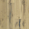 Product Sample of Shaw Floors Wildwood Hardwood  flooring in the color Timber available at Standard Paint and Flooring.