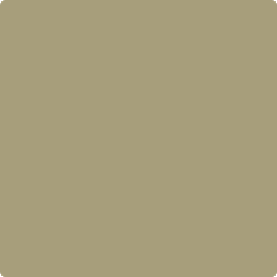 Benjamin Moore's paint color 2143-30 Olive Branch available at Standard Paint & Flooring.
