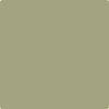 Benjamin Moore's paint color 2144-30 Rosemary Sprig available at Standard Paint & Flooring.