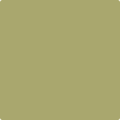Benjamin Moore's paint color 2145-30 Brookside Moss available at Standard Paint & Flooring.