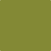 Benjamin Moore's paint color 2146-10 Dark Celery available at Standard Paint & Flooring.