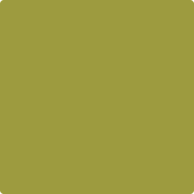 Benjamin Moore's paint color 2146-20 Forest Moss available at Standard Paint & Flooring.