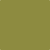 Benjamin Moore's paint color 2147-10 Oregano available at Standard Paint & Flooring.