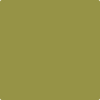 Benjamin Moore's paint color 2147-20 Olive Moss available at Standard Paint & Flooring.