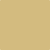 Benjamin Moore's paint color 2151-40 Sulfur Yellow available at Standard Paint & Flooring.