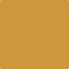 Benjamin Moore's paint color 2154-20 Spicy Mustard available at Standard Paint & Flooring.