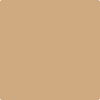 Benjamin Moore's paint color 2161-40 Acorn Yellow available at Standard Paint & Flooring.