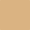 Benjamin Moore's paint color 2165-40 Dark Beige available at Standard Paint & Flooring.
