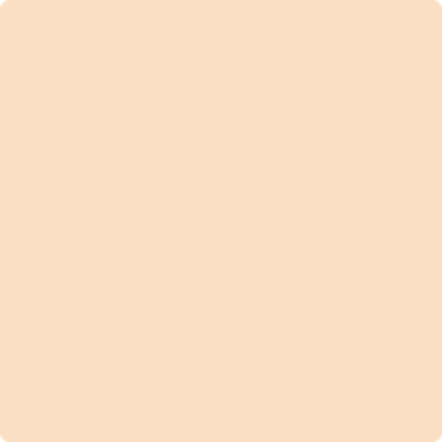 Benjamin Moore's paint color 2166-60 Pale Oats available at Standard Paint & Flooring.
