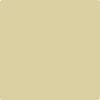 Benjamin Moore's paint color 263 Spring Morning