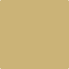 Benjamin Moore's paint color 265 Gemstone