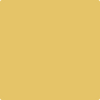 Benjamin Moore's paint color 293 Showtime