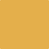 Benjamin Moore's paint color 301 Glen Ridge Gold