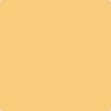 Benjamin Moore's paint color 306 Lion Heart