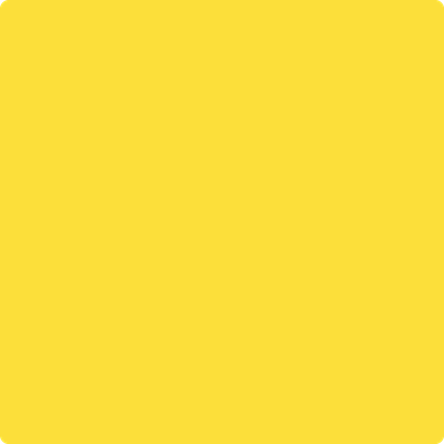 Benjamin Moore's paint color 336 Bold Yellow