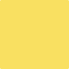 Benjamin Moore's paint color 341 Fiesta Yellow