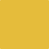 Benjamin Moore's paint color 350 Sun Valley