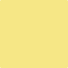 Benjamin Moore's paint color 353 Yellow Roses
