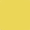 Benjamin Moore's paint color 355 Majestic Yellow