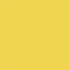 Benjamin Moore's paint color 356 Sunny Afternoon