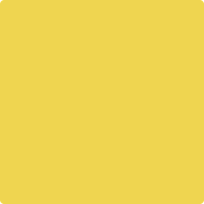 Benjamin Moore's paint color 356 Sunny Afternoon
