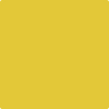 Benjamin Moore's paint color 357 Yellow Hibiscus