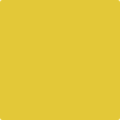 Benjamin Moore's paint color 357 Yellow Hibiscus
