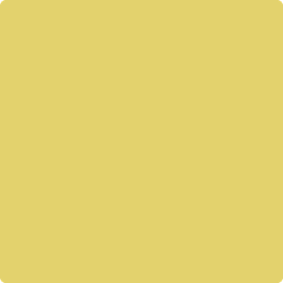 Benjamin Moore's paint color 370 Yellow Tone