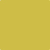 Benjamin Moore's paint color 371 Bright Gold