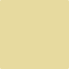 Benjamin Moore's paint color 375 Yellow Clover