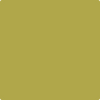 Benjamin Moore's paint color 392 Olive Tree