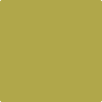 Benjamin Moore's paint color 392 Olive Tree