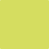Benjamin Moore's paint color 397 Chamomile