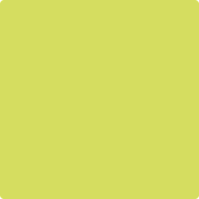 Benjamin Moore's paint color 397 Chamomile