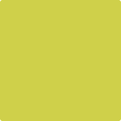 Benjamin Moore's paint color 398 Flower Power