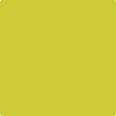 Benjamin Moore's paint color 399 Exotic Lime