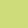 Benjamin Moore's paint color 403 Candy Green
