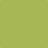 Benjamin Moore's paint color 405 Perennial