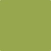 Benjamin Moore's paint color 406 Huntington Green